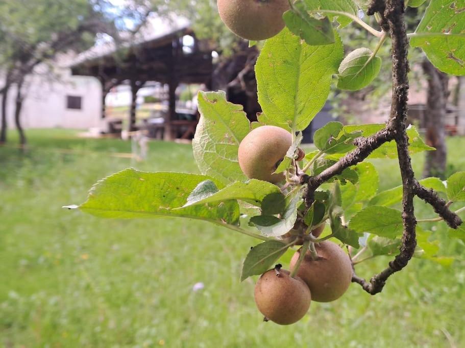 Pod Vinogradi Apartment Skocjan  Luaran gambar